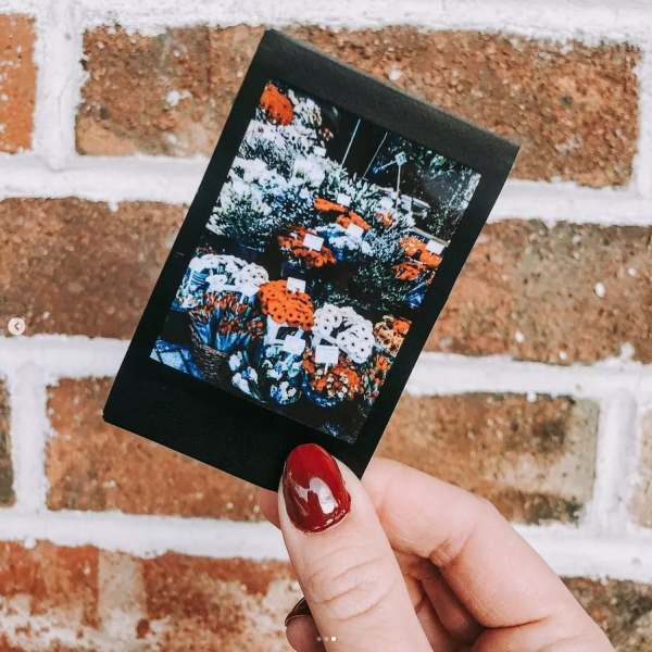 Black Mini Size Polaroids - Image 3